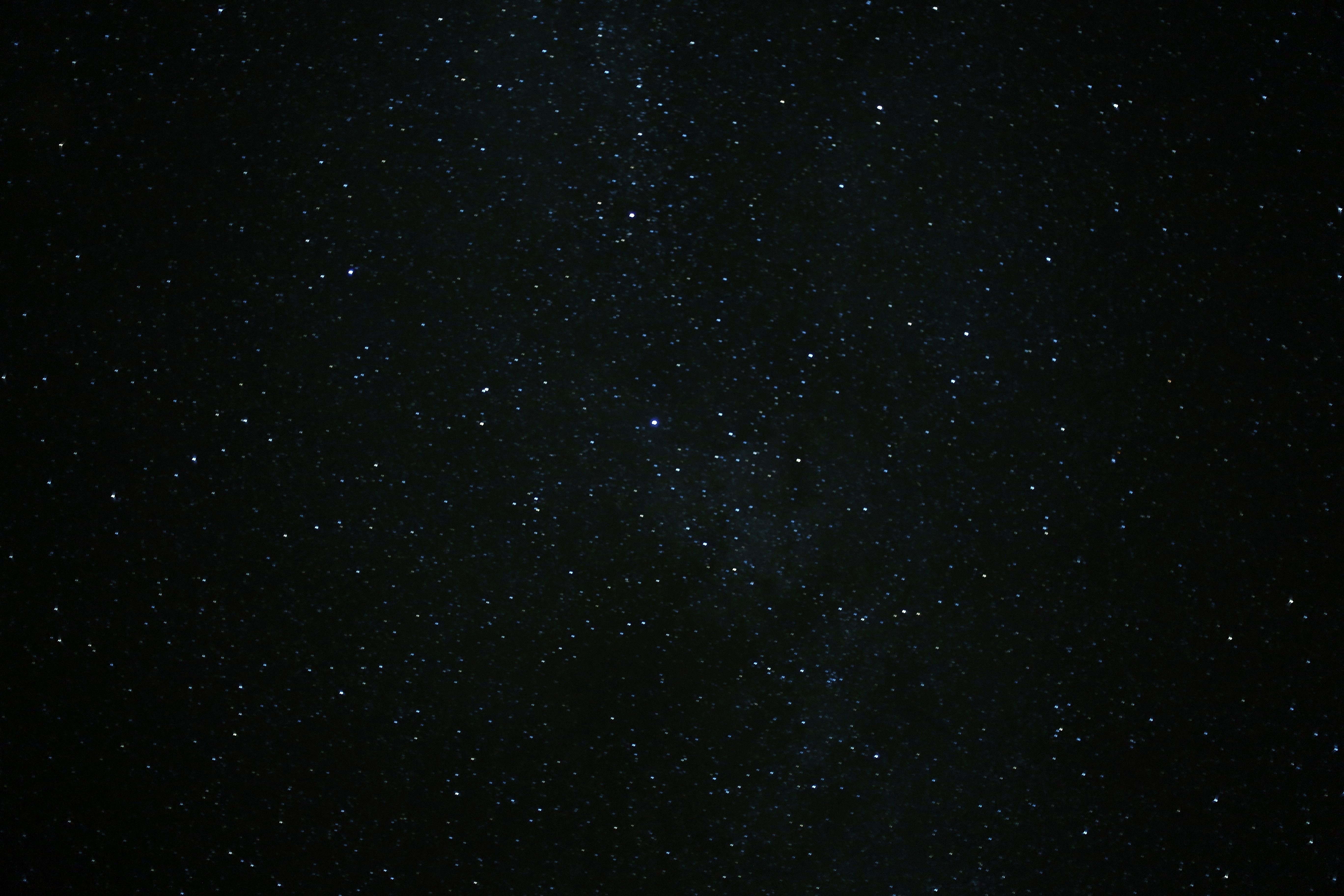 pexels photo 17964667 2