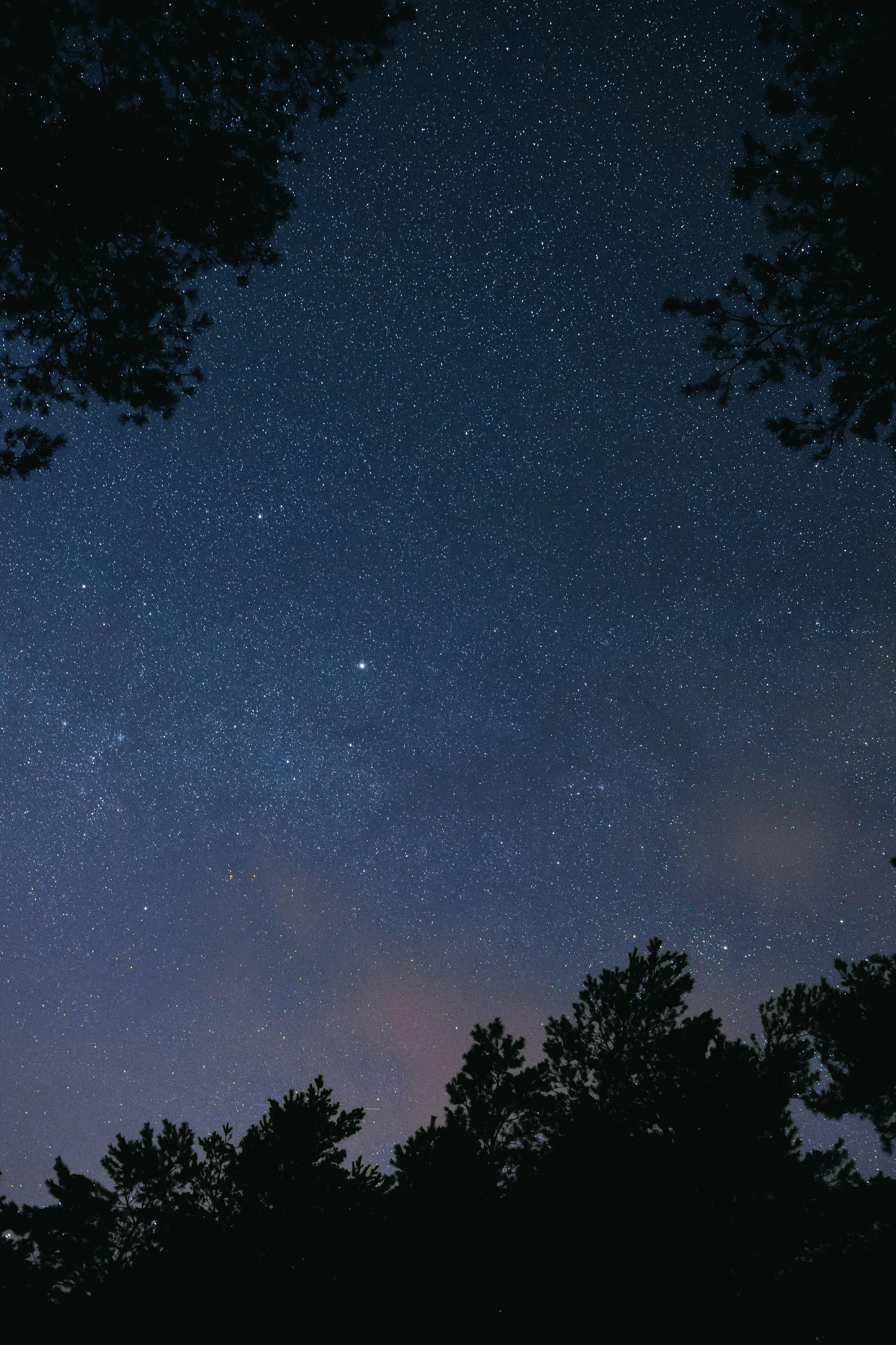 pexels photo 8495480