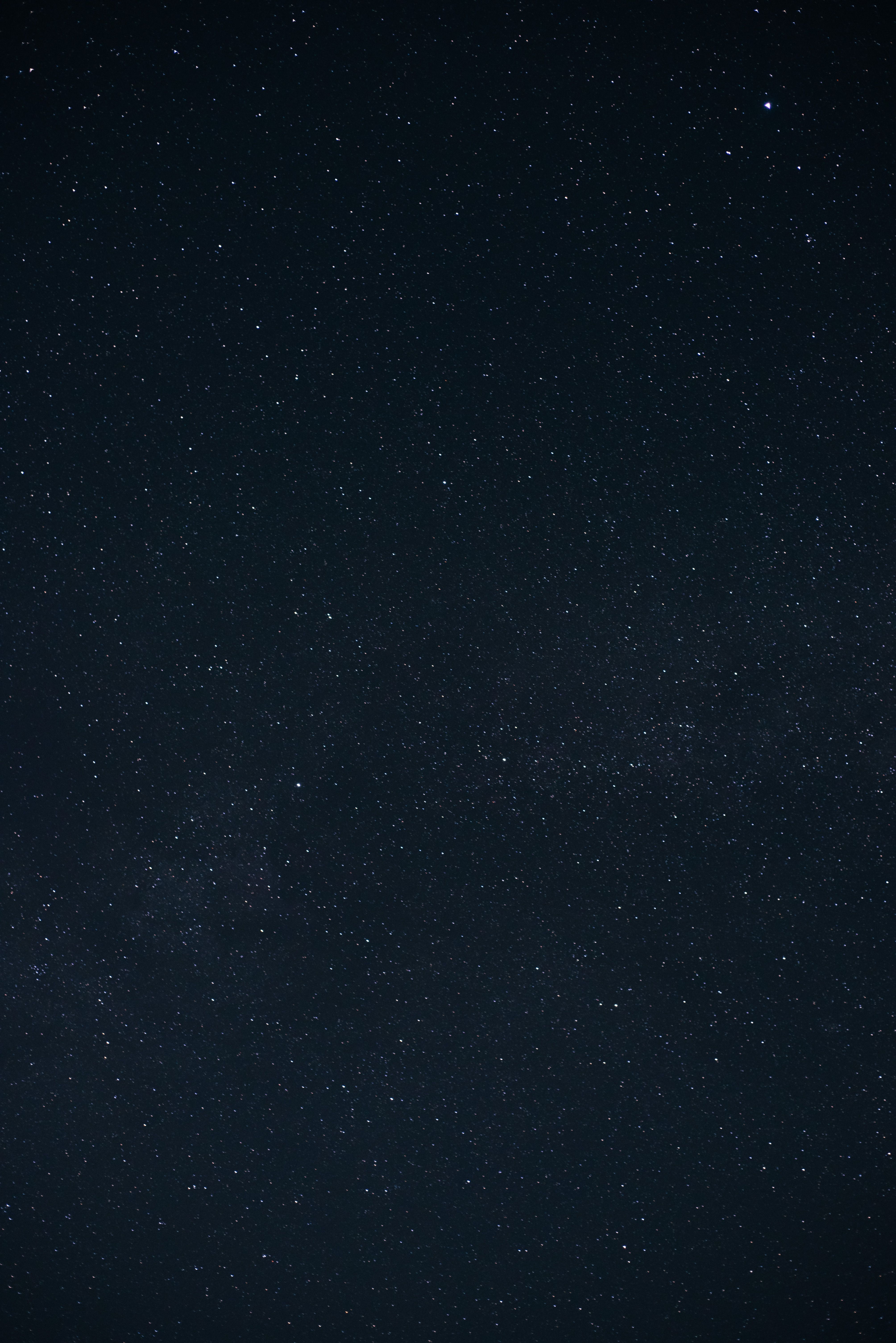 pexels photo 8665449
